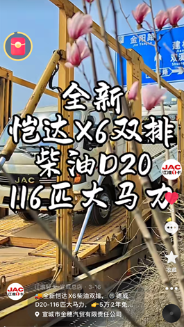 全新愷達(dá)X6柴油雙排，德威D20-116匹大馬力。